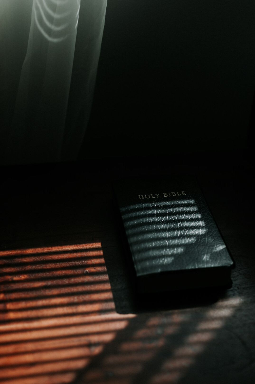 dark psychological thriller book cover